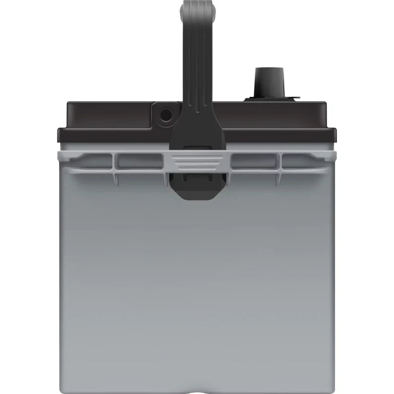 EverStart Platinum AGM Automotive Battery, Group Size 24F 12 Volt, 750 CCA - MadeInUSA