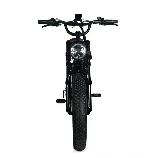 Electric Mountain Bike for Adults | 20 x 4.0 Fat Tires, 1000W Motor, 48V 20Ah Removable Battery, Max Speed 45MPH, Shi Mano 7-Speed for Off-Road Adventures