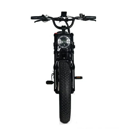 Electric Mountain Bike for Adults | 20 x 4.0 Fat Tires, 1000W Motor, 48V 20Ah Removable Battery, Max Speed 45MPH, Shi Mano 7-Speed for Off-Road Adventures
