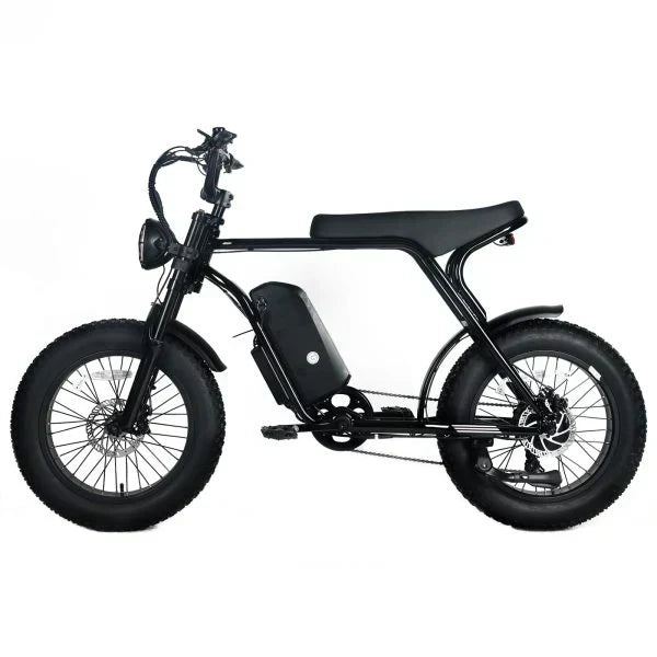 Electric Mountain Bike for Adults | 20 x 4.0 Fat Tires, 1000W Motor, 48V 20Ah Removable Battery, Max Speed 45MPH, Shi Mano 7-Speed for Off-Road Adventures