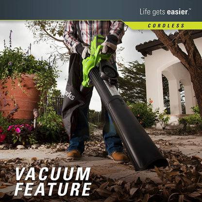 40V 185 MPH Variable Speed Cordless Leaf Blower/Vacuum, 4.0Ah Battery and Charger Included 24322