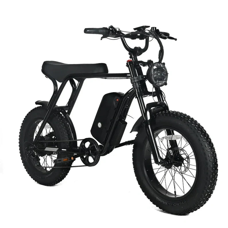 Electric Mountain Bike for Adults | 20 x 4.0 Fat Tires, 1000W Motor, 48V 20Ah Removable Battery, Max Speed 45MPH, Shi Mano 7-Speed for Off-Road Adventures